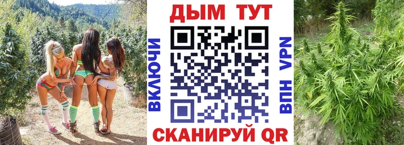 Каннабис Amnesia  Димитровград 